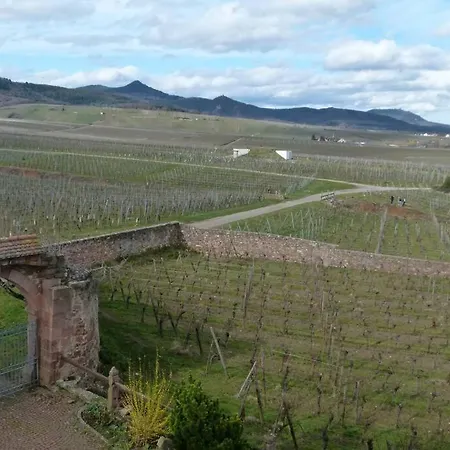 Domaine Du Bouxhof Lägenhet Mittelwihr