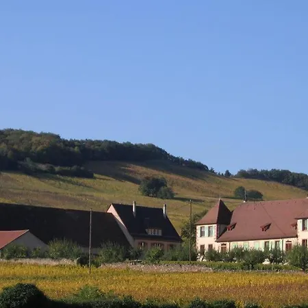 Domaine Du Bouxhof