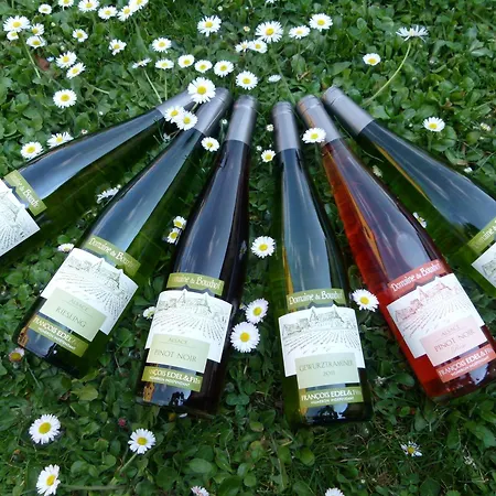 Domaine Du Bouxhof 아파트 미터위어