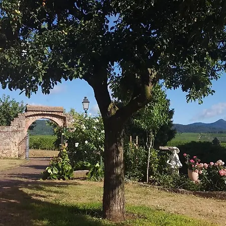 Domaine Du Bouxhof Apartamento *