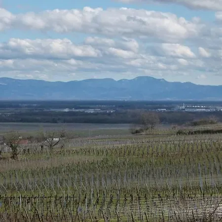 아파트 Domaine Du Bouxhof *