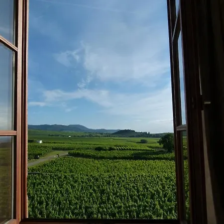 Domaine Du Bouxhof 아파트 미터위어