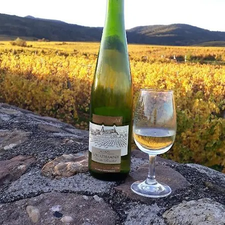 아파트 Domaine Du Bouxhof *