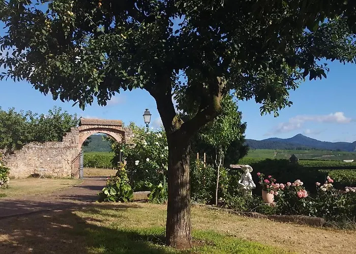 Domaine Du Bouxhof Appartement *